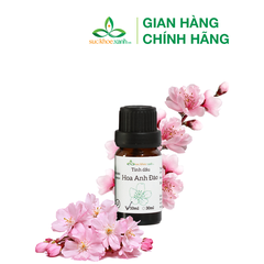 Tinh dầu Hoa Anh đào 10ml (Ấn Độ)