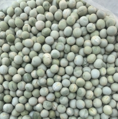Đậu hà lan xanh nguyên Hạt Canada Túi 500g - Set 5 Túi