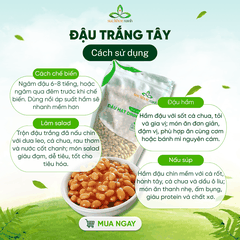 Đậu Trắng Tây Myanmar 500g - Hạt sạch, thuần tự nhiên - Giàu đạm, chất xơ - Món chay, healthy