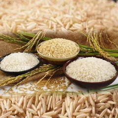 Gạo Basmati India (Ấn Độ) Túi 5kg ngăn ngừa tiểu đường
