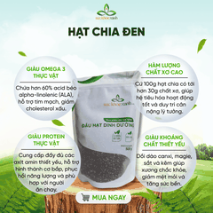Sức Khỏe Xanh – Hạt Chia Đen Peru/Ấn Độ 250g – Hạt Sạch Tăng Năng Lượng, Làm Đẹp Da, Tốt Cho Tiêu Hóa