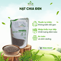Sức Khỏe Xanh – Hạt Chia Đen Peru/Ấn Độ 100g – Siêu Thực Phẩm Giàu Omega 3, Chất Xơ, Protein