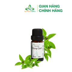 Tinh dầu Húng Quế 10ml (Pháp)