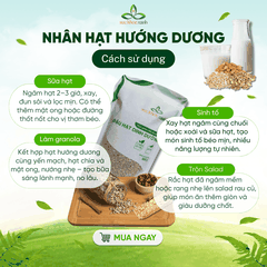 Nhân Hạt Hướng Dương Trung Quốc 100g – Hạt Dinh Dưỡng Giàu Vitamin E, Ăn Vặt Healthy