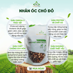 Nhân Óc Chó Đỏ Mỹ 100g – Ăn Vặt Lành Mạnh, Bổ Sung Dinh Dưỡng Toàn Diện