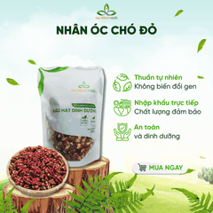 Nhân Óc Chó Đỏ Mỹ 300g – Giàu Protein, Chất Xơ, Tăng Cường Sức Đề Kháng