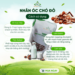 Nhân Óc Chó Đỏ Mỹ 300g – Giàu Protein, Chất Xơ, Tăng Cường Sức Đề Kháng
