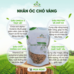 Nhân Óc Chó Vàng Mỹ 300g – Hỗ Trợ Sức Khỏe Toàn Diện, Tăng Đề Kháng
