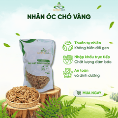 Nhân Óc Chó Vàng Mỹ 100g – Hỗ Trợ Sức Khỏe Toàn Diện, Tăng Đề Kháng