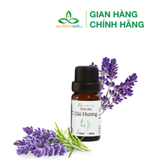 Tinh dầu Oải Hương 10ml (Anh)