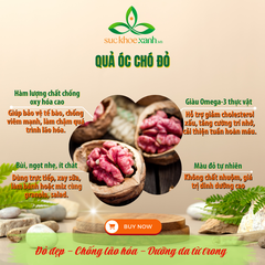 Quả Óc Chó đỏ 500gr (Mỹ)