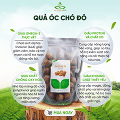 Quả Óc Chó Đỏ Mỹ 500g – Ăn Vặt Lành Mạnh, Nhiều Protein & Chất Xơ