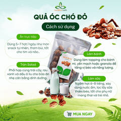 Quả Óc Chó Đỏ Mỹ 500g – Ăn Vặt Lành Mạnh, Nhiều Protein & Chất Xơ