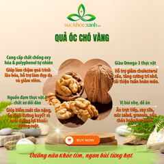 Quả Óc Chó Vàng Mỹ 500g – Hạt Dinh Dưỡng Giàu Omega 3, Tốt Cho Tim Mạch