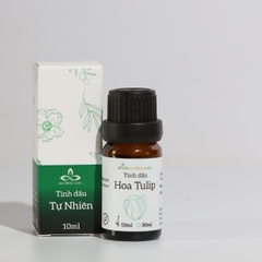 Tinh dầu Hoa Tulip 10ml (Ấn Độ)