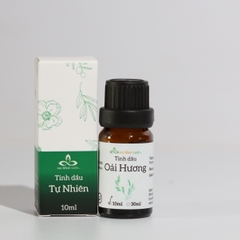 Tinh dầu Oải Hương 10ml (Anh)