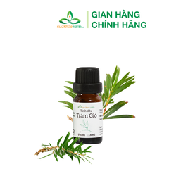 Tinh dầu Tràm gió 10ml (Việt Nam)