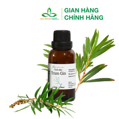 Tinh dầu Tràm gió 30ml (Việt Nam)