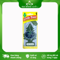 Cây Thông Wild Hemp