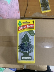 Cây Thông Wild Hemp
