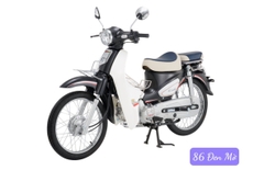 XE CUB SUMOTOR 86