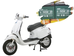 ẮC QUY XE MÁY ĐIỆN Chilwee 60V20Ah