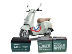 Ắc Xe Máy Điện YADEA OSSY