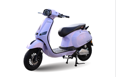 XE MÁY ĐIỆN Victoria V38 (Việt – Nhật)