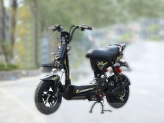 Xe đạp điện 133M8