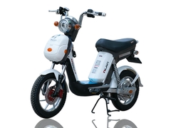Xe đạp điện Nijia