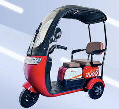 XE ĐIỆN BA BÁNH MÁI TRE