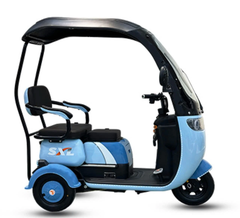 XE ĐIỆN BA BÁNH MÁI TRE