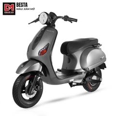 Xe điện Besta
