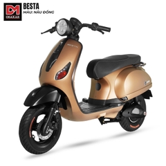 Xe điện Besta