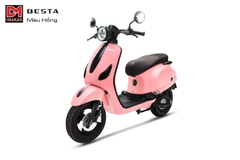 Xe điện Besta