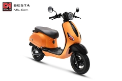 Xe điện Besta