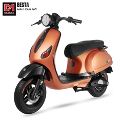 Xe điện Besta