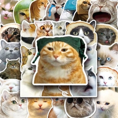 [ Set 10 Túi ] Sticker [ 1 Túi 50 Miếng ] - 95957