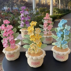 [ Set 2 Chậu ] Hoa Len - 17687