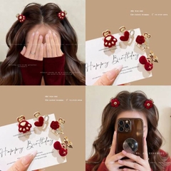 [ Set 12 Cái ] Kẹp Tóc - 21230