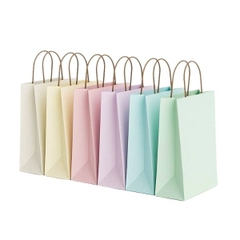 [ Set 50 Cái ] Túi Quà Pastel - 21840
