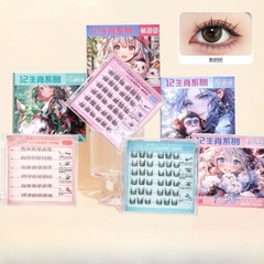 [ Set 5 Hộp ] Mi Giả Tự Dính - 22084