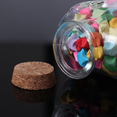 [ Set 10 Cái ] Bình Đựng Sao - 96141