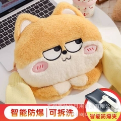 [ Set 2 Cái ] Túi Sưởi Điện - 20459