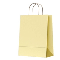 [ Set 50 Cái ] Túi Quà Pastel - 21840