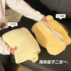 [ Set 2 Bộ ] Chăn Gối [ 37*37cm / 100*150cm ] - 22184