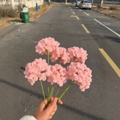 [ Set 5 Nhanh ] Hoa Cẩm Tú Cầu Kẽm Nhung [ 24 Bông ] - 18183