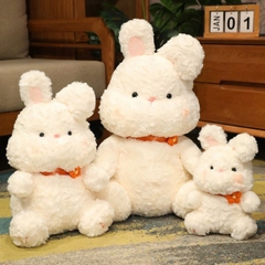 [ Set 2 Con ] Gấu Bông [ 45-55cm ] - 18578