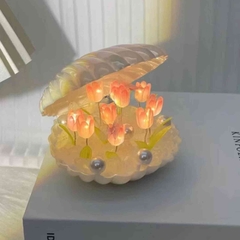 [ Set 5 Bộ ] Đèn Ngủ Vỏ Sò DIY - 19577