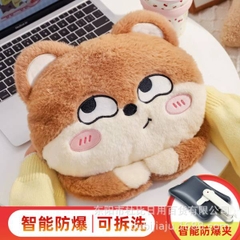 [ Set 2 Cái ] Túi Sưởi Điện - 20459